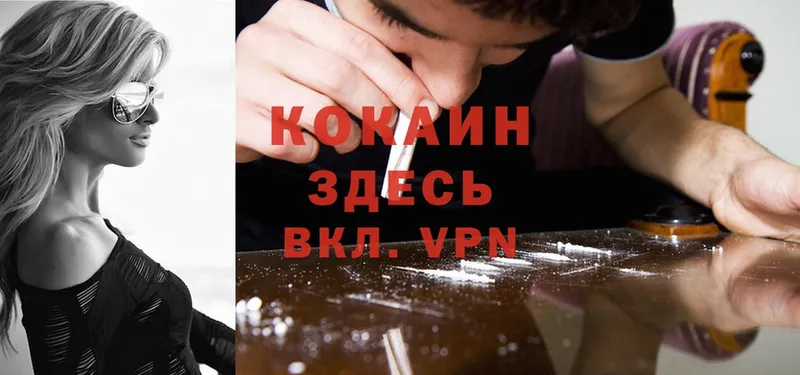 где можно купить   Гатчина  Cocaine FishScale 